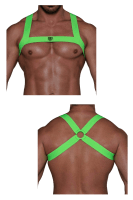 Harness in neongrün